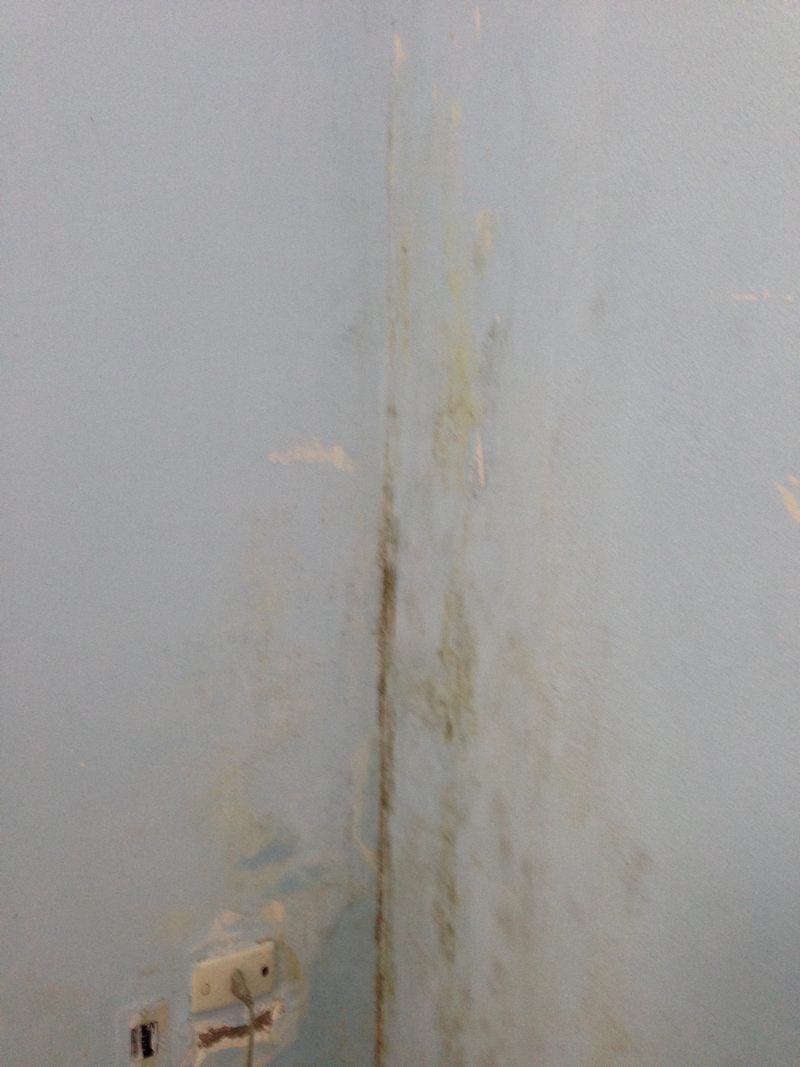 thi-cong-giay-dan-tuong-11-dai-co-viet (7)